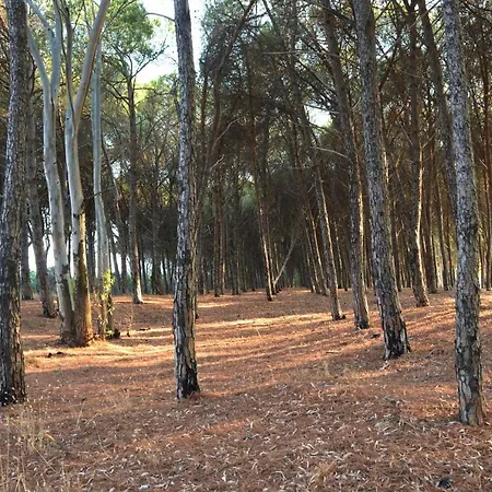 Oasi Del Governatore Διαμέρισμα *