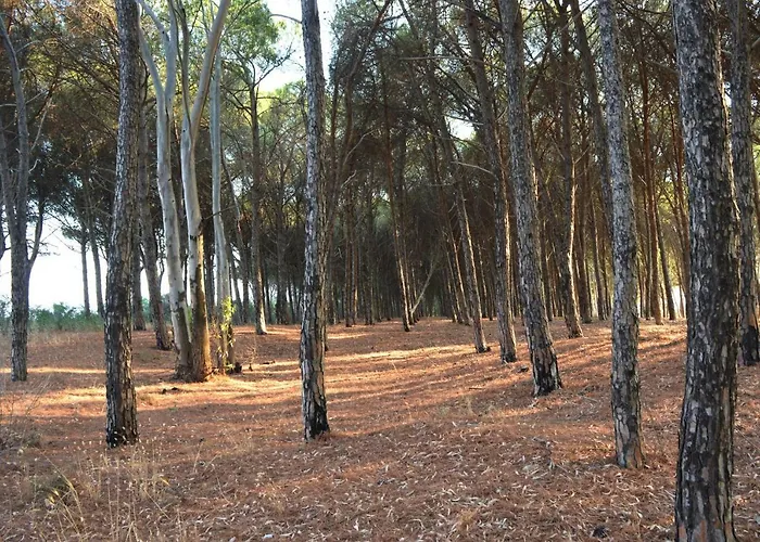 Oasi Del Governatore 公寓 *